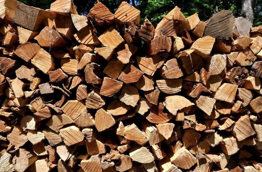 Best Time of Year to Buy Firewood by the Cord
